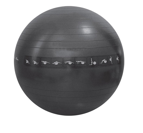 Pelota Estabilizadora Go Fit