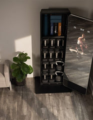 Espejo Fitness NordicTrack Vault